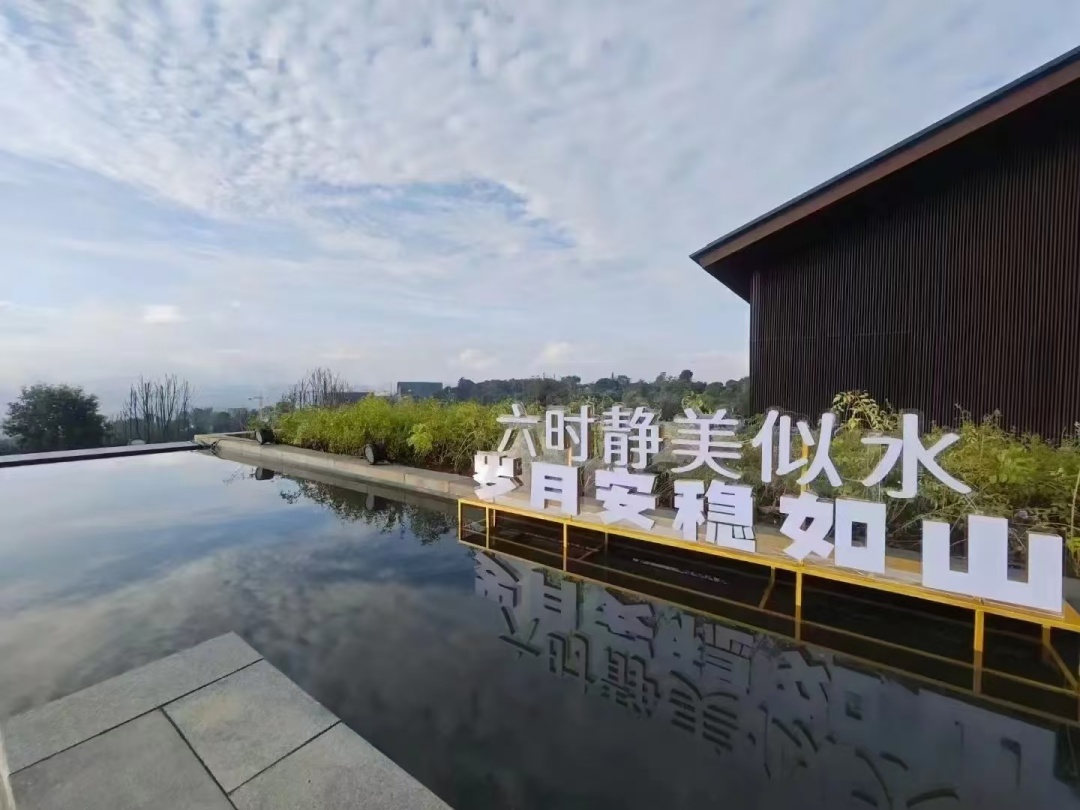 内部公开一码资料
